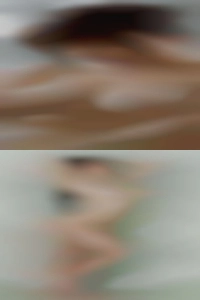 Pieretterobledo, , 