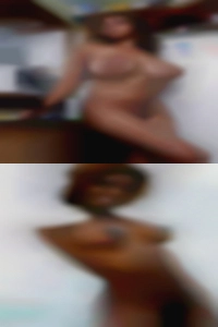 champcarrano, for cock