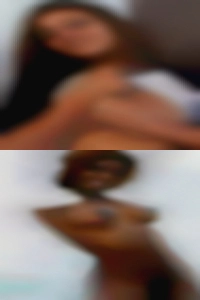 noliepellegrino, , 